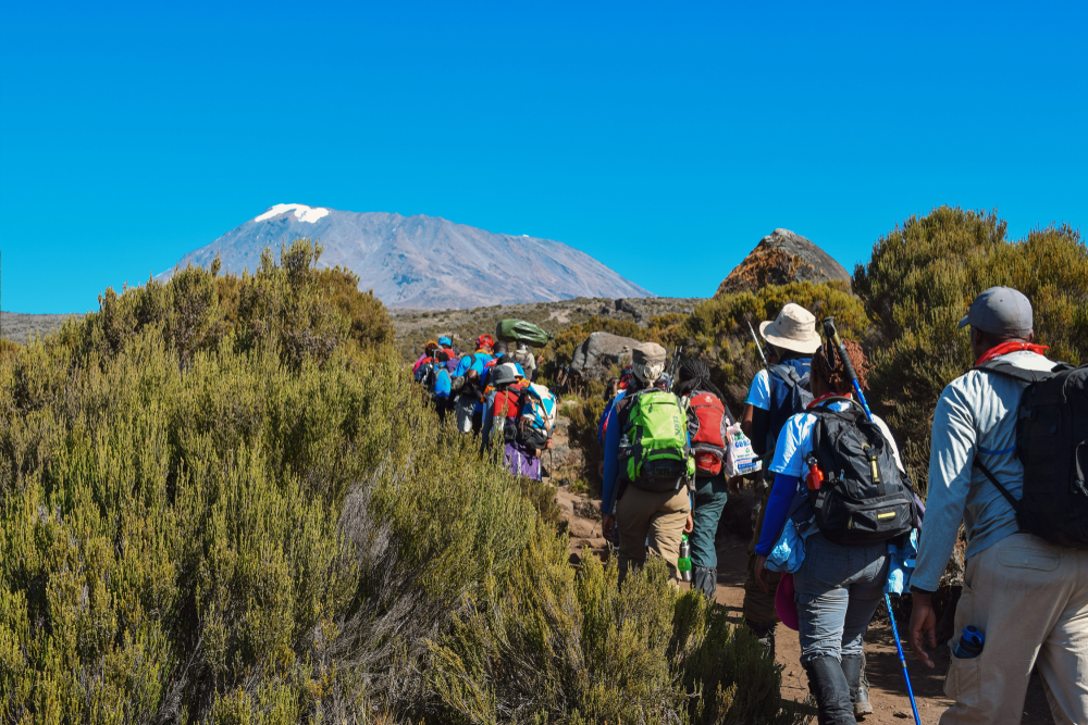 Trek up Mount Kilimanjaro