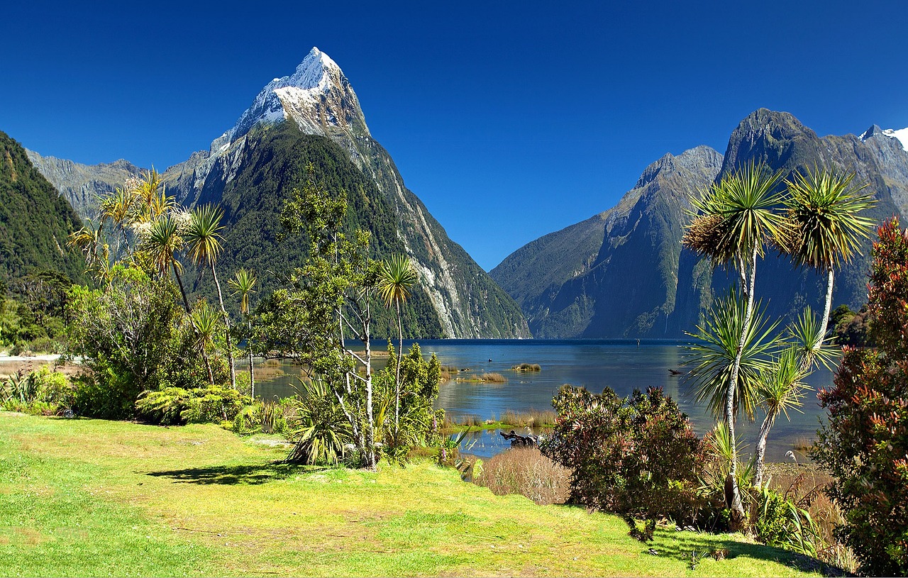 Best Time to Visit New Zealand