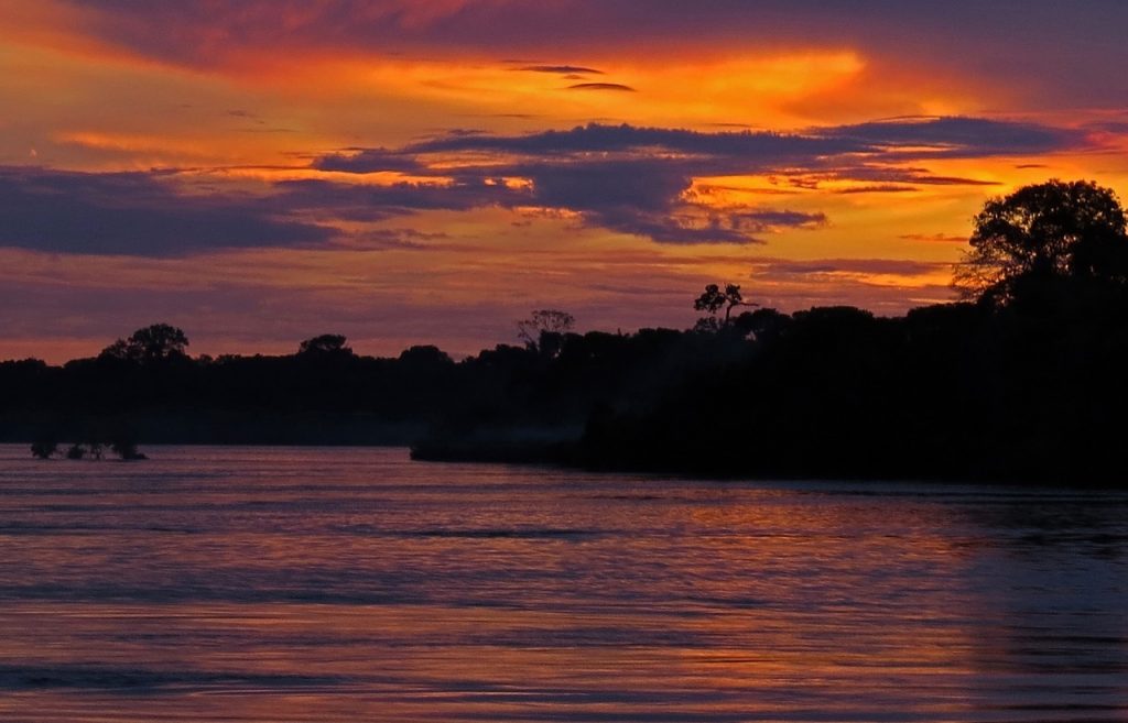 Best time to visit the Amazon