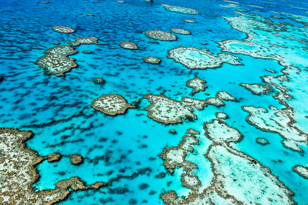 Best time to see the Great Barrier Reef