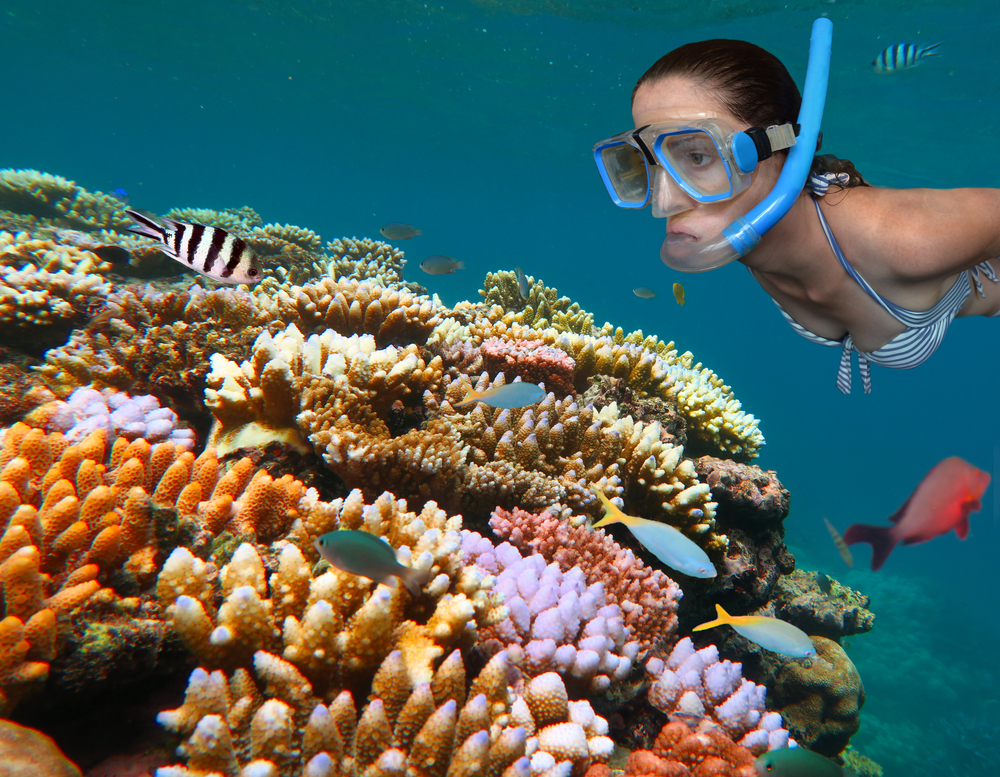 Best time to go to the Great Barrier Reef